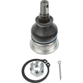 Gelenk - Radaufhängung Toyota P. Yaris 99-05 Le/Pr 29904 01