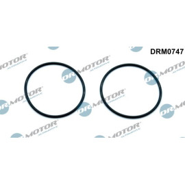 Dichtung, Unterdruckpumpe DRM0747
