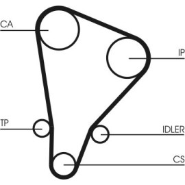 Continental CTAM Zahnriemen CT521