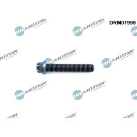 PLEUELSCHRAUBE DRM01996