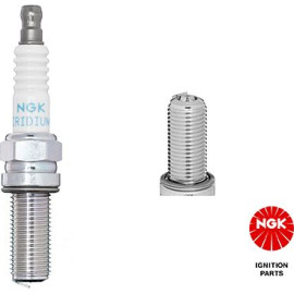 R2556G-9 NGK-Motorsportkerze 93253