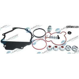 Reparatursatz, Unterdruckpumpe (Bremsanlage) DRM0320