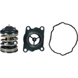 Gates Thermostat TH47487K1