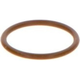 O-Ring F 00V P01 005