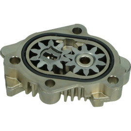 Zahnradpumpe 0 440 020 087