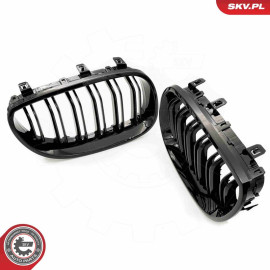 ESEN SKV Kühlergitter 66SKV171