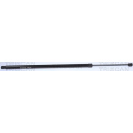 GASFEDER, KOFFER-/LADERAUM 871016279
