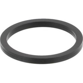 Topran Einspritzventil Dichtring 100677