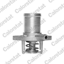 Thermostat, Kühlmittel TH5493.89J