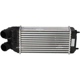 Ladeluftkühler 30460