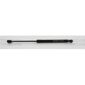 Gasfeder, Koffer-/Laderaum 871023244