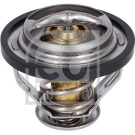 Thermostat, Kühlmittel 12776