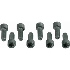 SACHS Schraubensatz, Schwungrad 1874 000 031