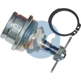 RTS Schulterklopfen 93-02395 RTS Schulterklopfen 93-02395