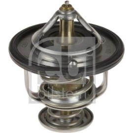 Thermostat, Kühlmittel 107707