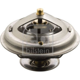 Thermostat, Kühlmittel 17898