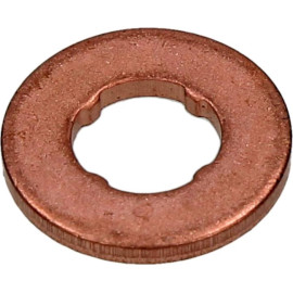 Dichtring F 00V C17 503