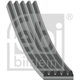 FEBI BILSTEIN Rillenriemen 28888