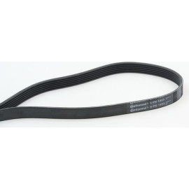 CONTINENTAL CTAM Keilrippenriemen 6PK1453