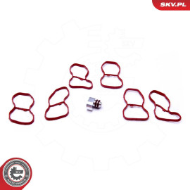 ESEN SKV Reparatursatz, Saugrohrmodul 49SKV516
