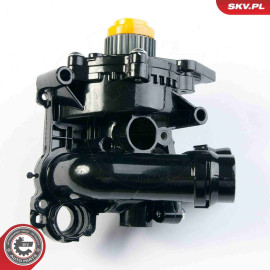 SKV GERMANY Wasserpumpe 22SKV001