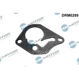 Dichtung, Unterdruckpumpe DRM0289