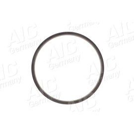 Sensorring ABS 55412