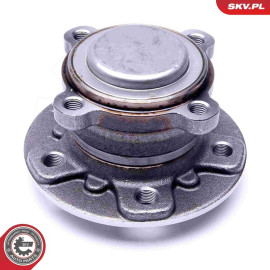 ESEN SKV Radlagersatz 29SKV303