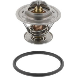 Thermostat, Kühlmittel 100 573