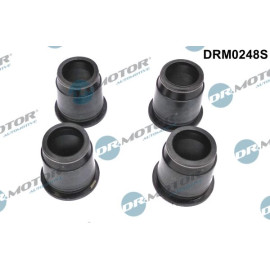 DR.MOTOR Dichtungssatz Einspritzdüse DRM0248S