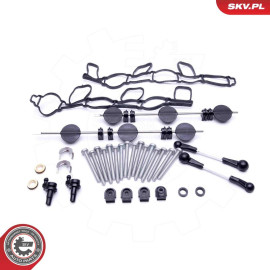 SKV GERMANY Reparatursatz 49SKV501