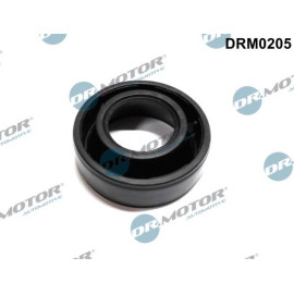 DR.MOTOR Dichtungssatz Einspritzdüse DRM0205