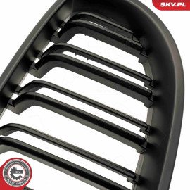 ESEN SKV Kühlergitter 66SKV173