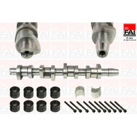FAI AutoParts Nockenwellensatz CSK248C