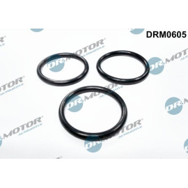 Dichtung, Wasserpumpe DRM0605