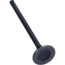Auslassventil R6073/RNT