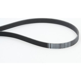 CONTINENTAL CTAM Keilrippenriemen 6PK2490