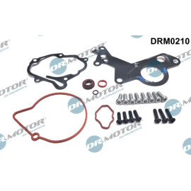 Reparatursatz, Unterdruckpumpe (Bremsanlage) DRM0210