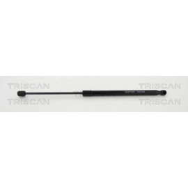 Gasfeder, Koffer-/Laderaum 8710292033