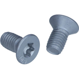 Schraube, Bremsscheibe 11670K
