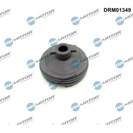 VERSCHLUSSSCHRAUBE, ÖLWANNE DRM01349