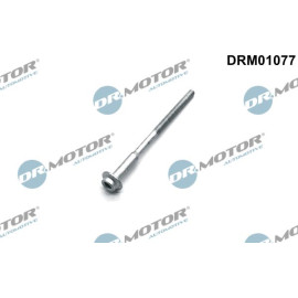 DR.MOTOR Schraube, Einspritzdüsenhalter DRM01077