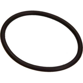 O-Ring F 00R 0P0 166