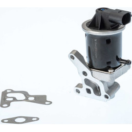 BorgWarner (Wahler) AGR-Ventil 711028D/1