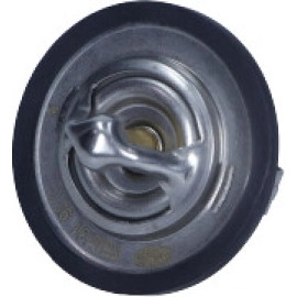 Thermostat, Kühlmittel 352317101310