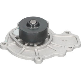 Wasserpumpe DW-1016