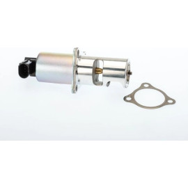 BorgWarner (Wahler) AGR-Ventil 710725D/1