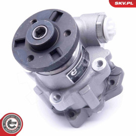 SKV GERMANY Hydraulikpumpe 10SKV246