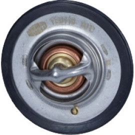 Thermostat, Kühlmittel 352317101180