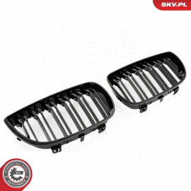 ESEN SKV Kühlergitter 66SKV005